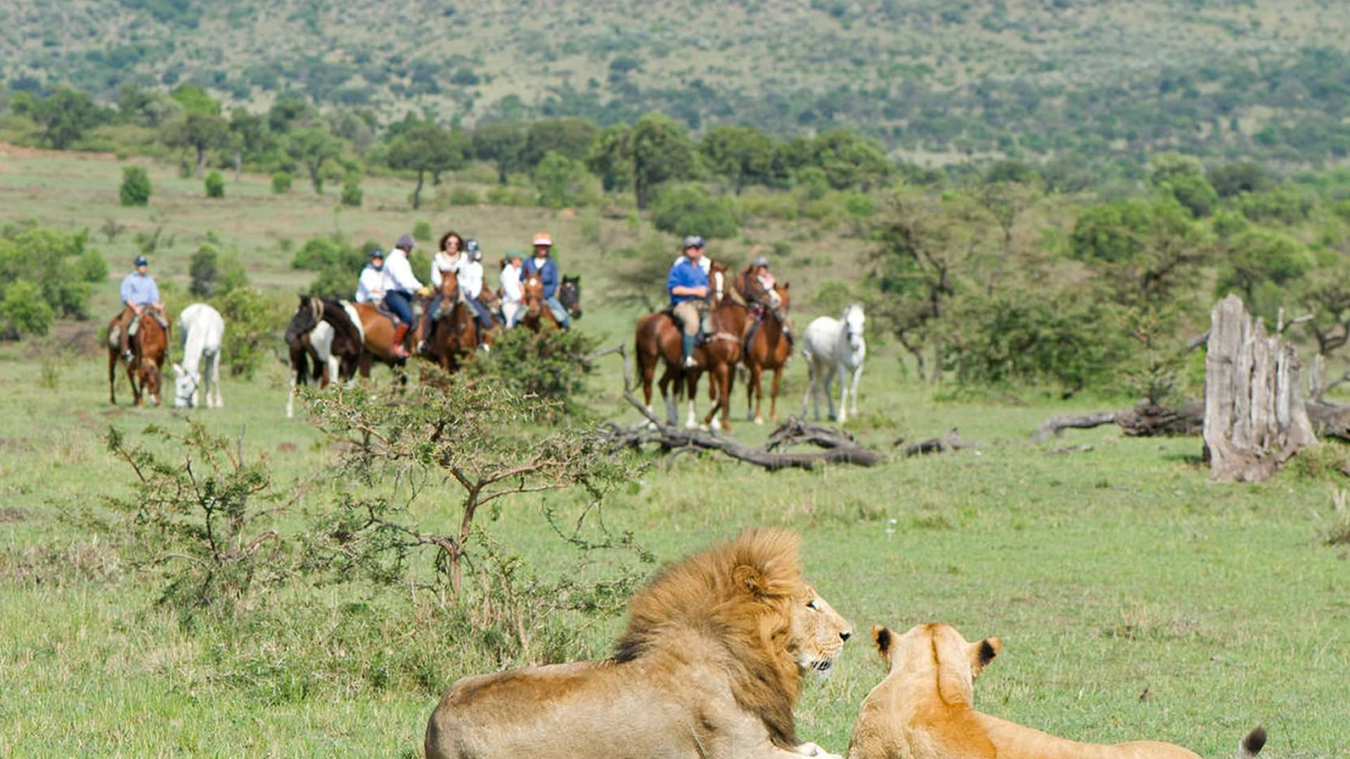 Horse Riding Safaris in Africa